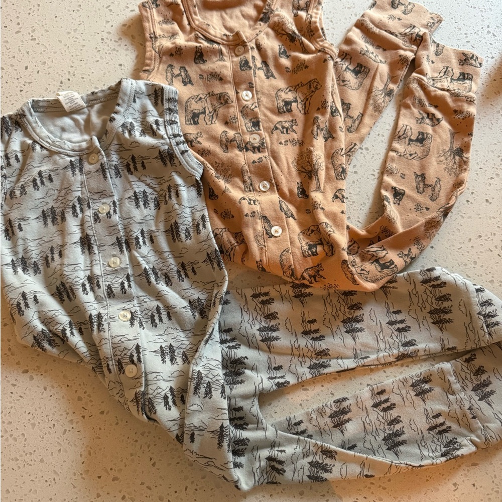 Kate Quinn Kids Animal Print Pajama Set - Gray and Tan